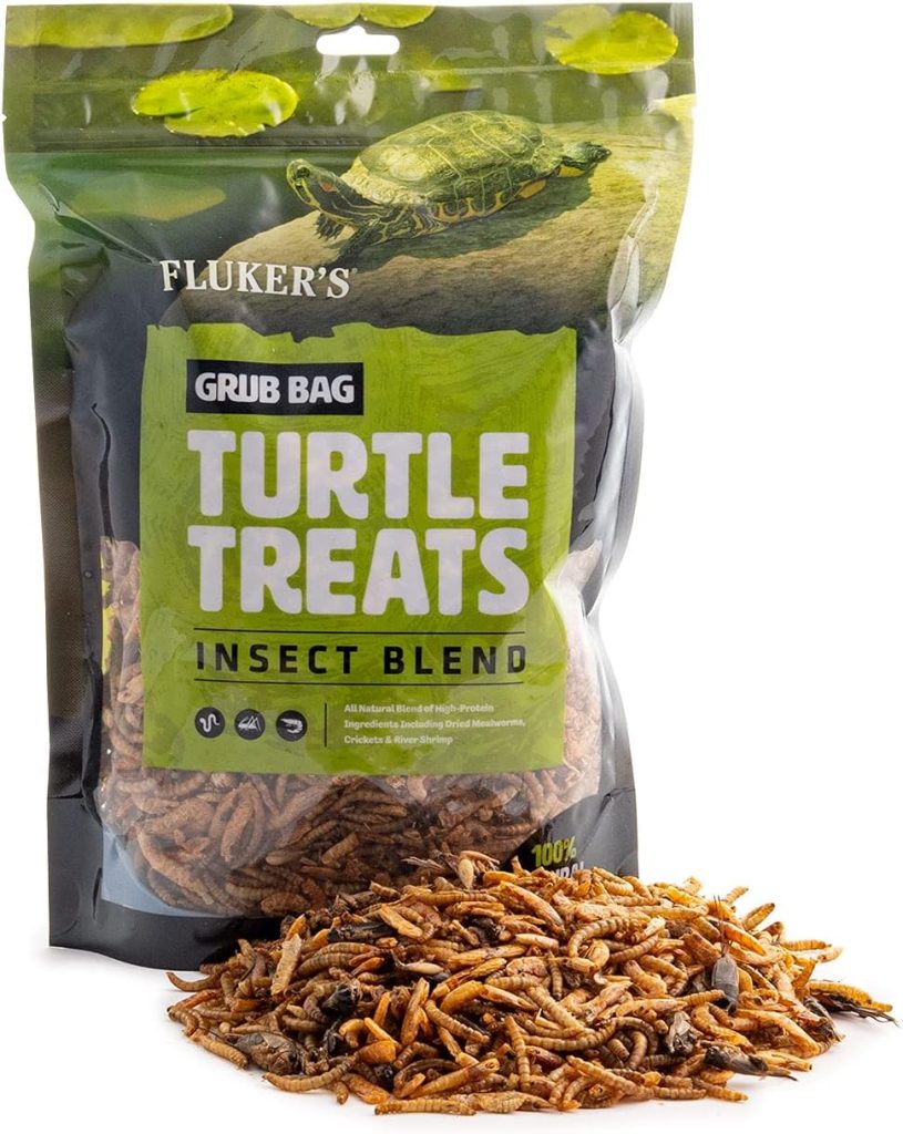 Top High Protein Treats for Turtles