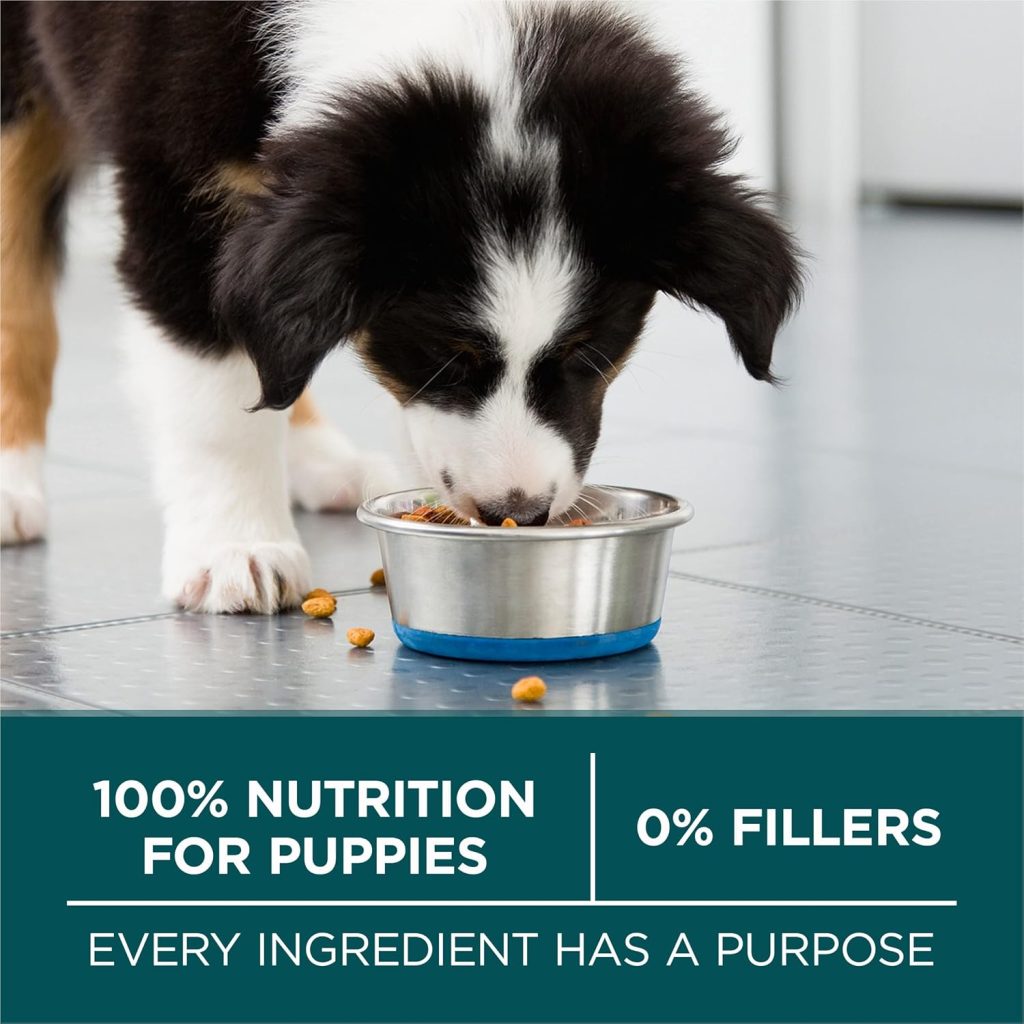 Purina ONE Large Breed Puppy Food Review
